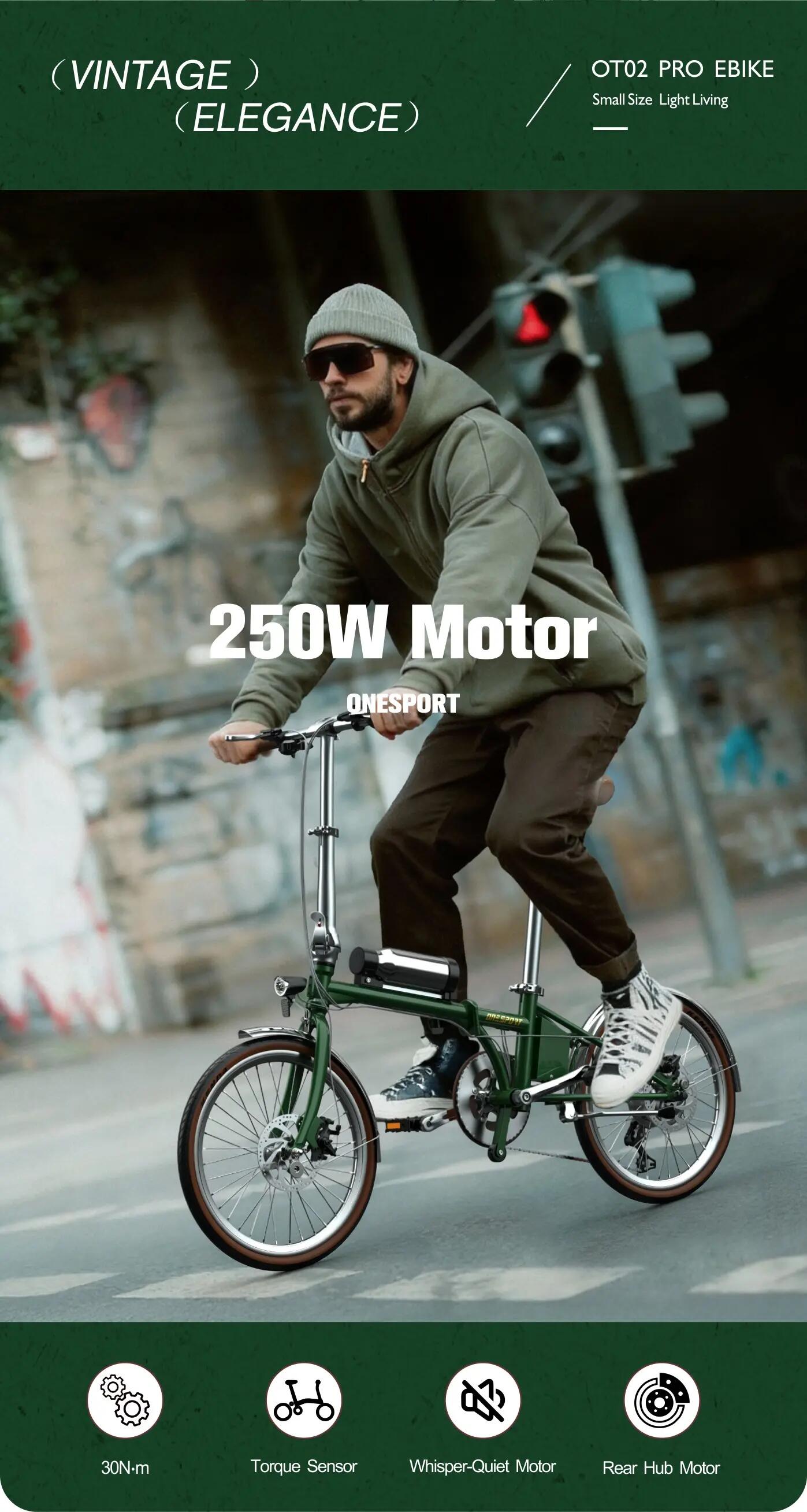 Bici elettrica pieghevole adulti OT02 Pro 250W 20" 36V5.2Ah Città 10/12
