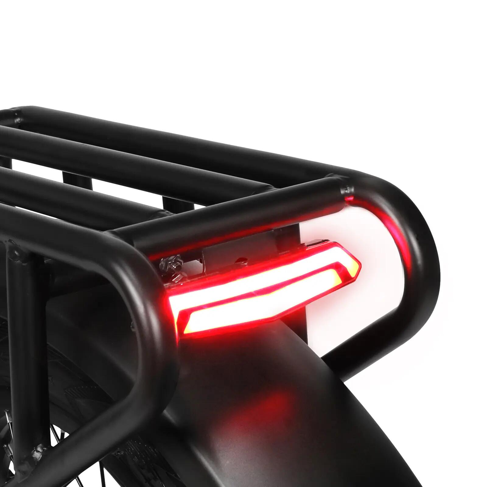 Bicicletă electrică pentru adulți RS-A02 Pro, baterie 48V 15Ah și roți de 20 inc 6/8