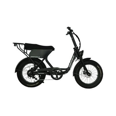 Grandeux xcite pro – elektrische tweepersoons fatbike