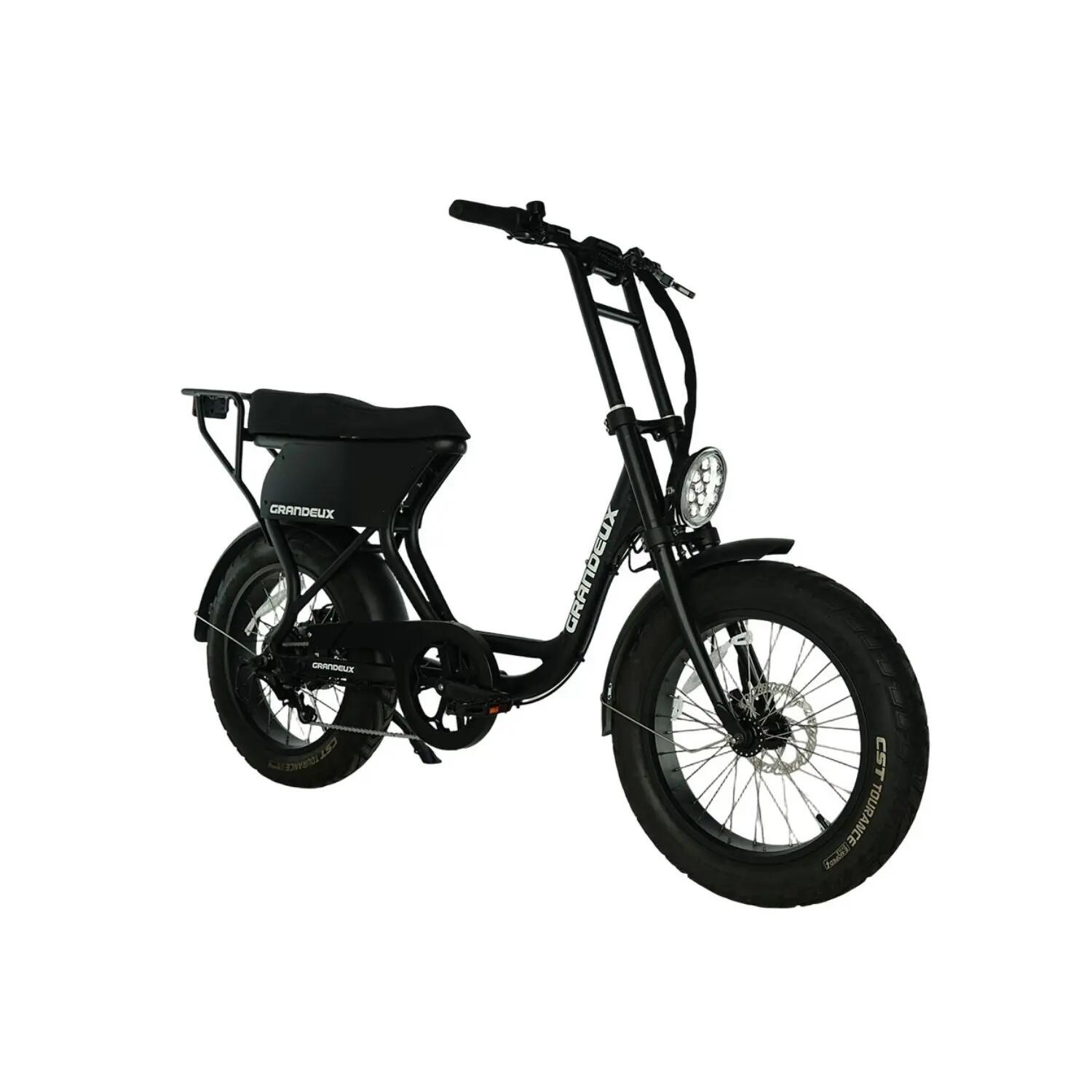 Grandeux Xcite Pro – Bicicletta elettrica biposto con pneumatici larghi 4/4