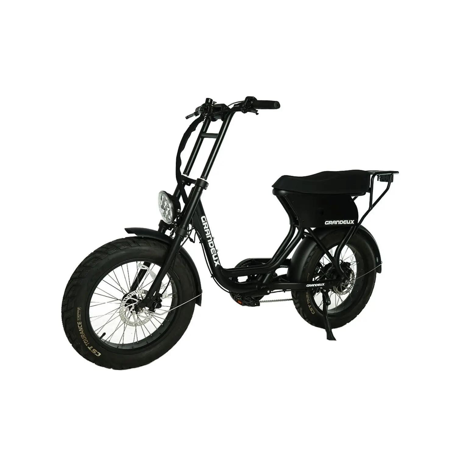 Grandeux Xcite Pro – Bicicletta elettrica biposto con pneumatici larghi 3/4