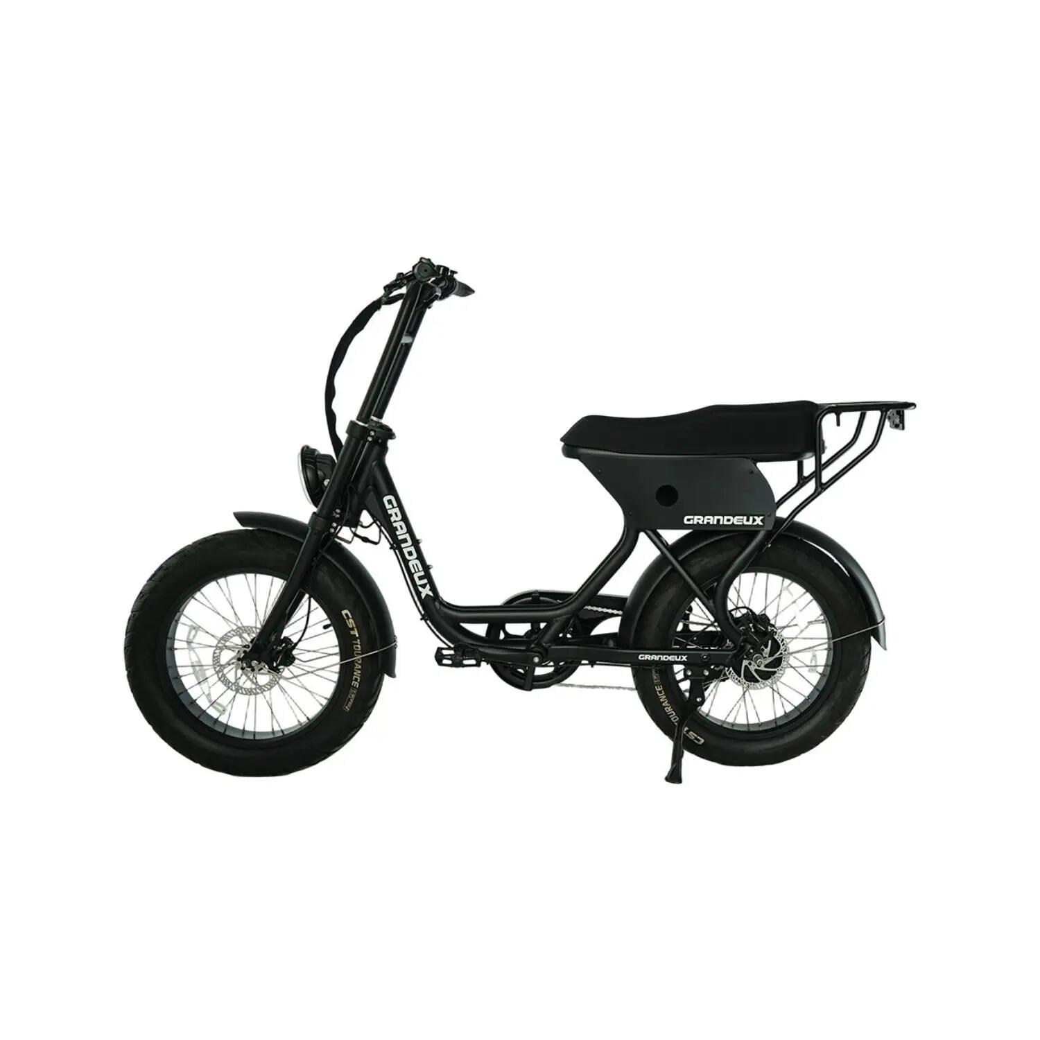 Grandeux Xcite Pro – Bicicletta elettrica biposto con pneumatici larghi 2/4