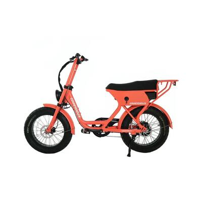 Grandeux xcite pro – elektrische tweepersoons fatbike