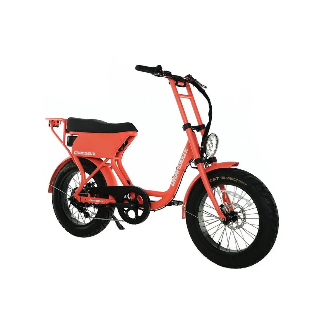 Grandeux Xcite Pro – Bicicletta elettrica biposto con pneumatici larghi 3/3