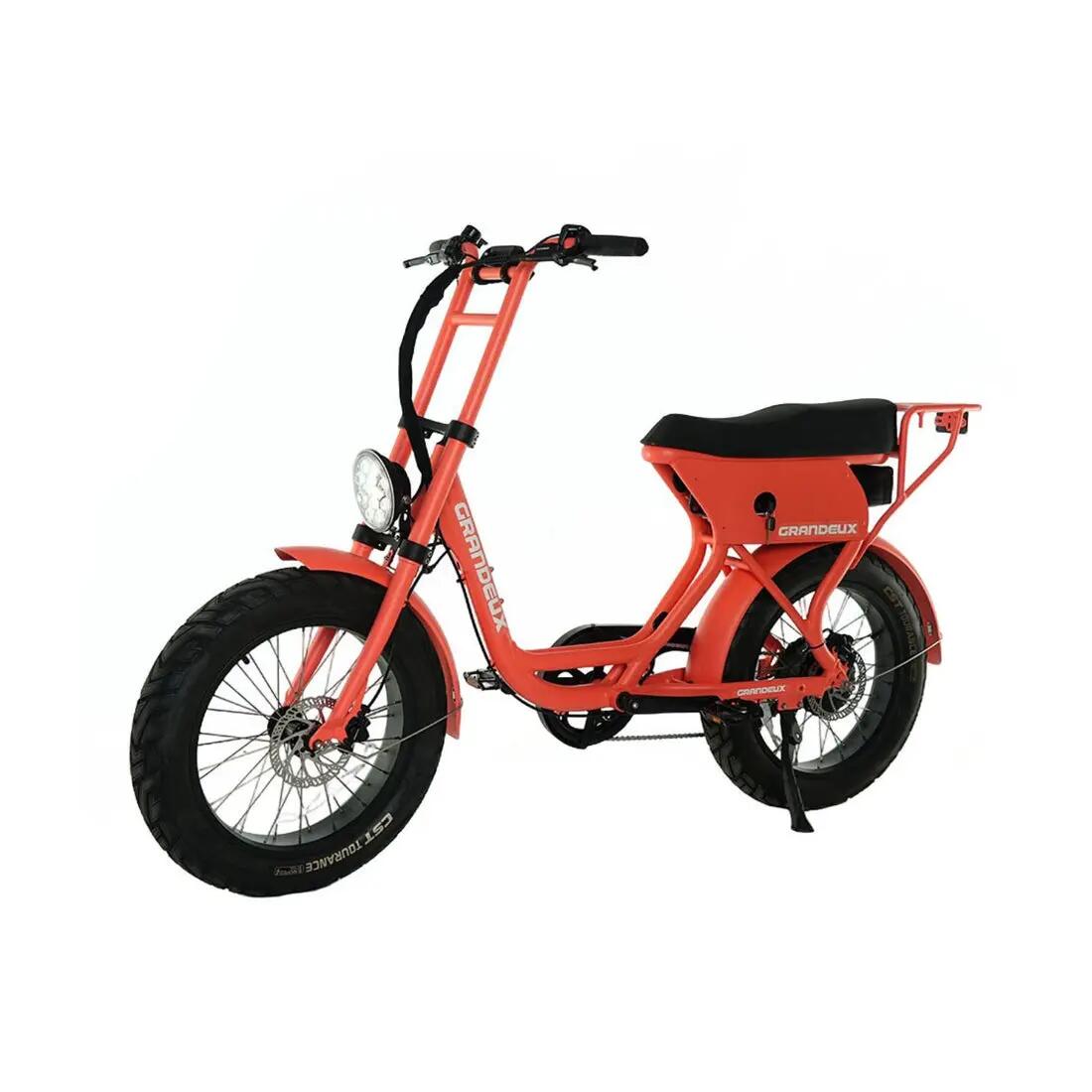 Grandeux Xcite Pro – Bicicletta elettrica biposto con pneumatici larghi 2/3
