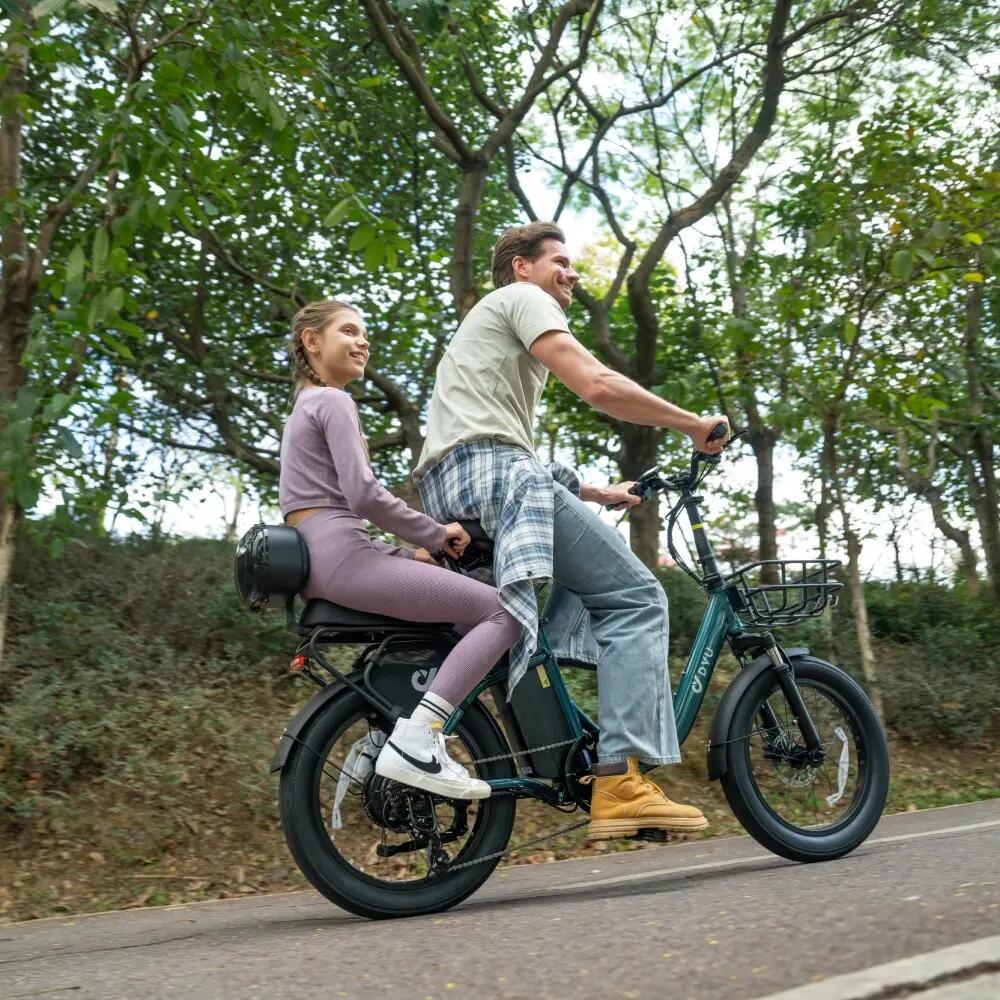Bicicleta eléctrica plegable adulto DYU C9 250W 48V15.6AH 20" Neumáticos gruesos 6/7
