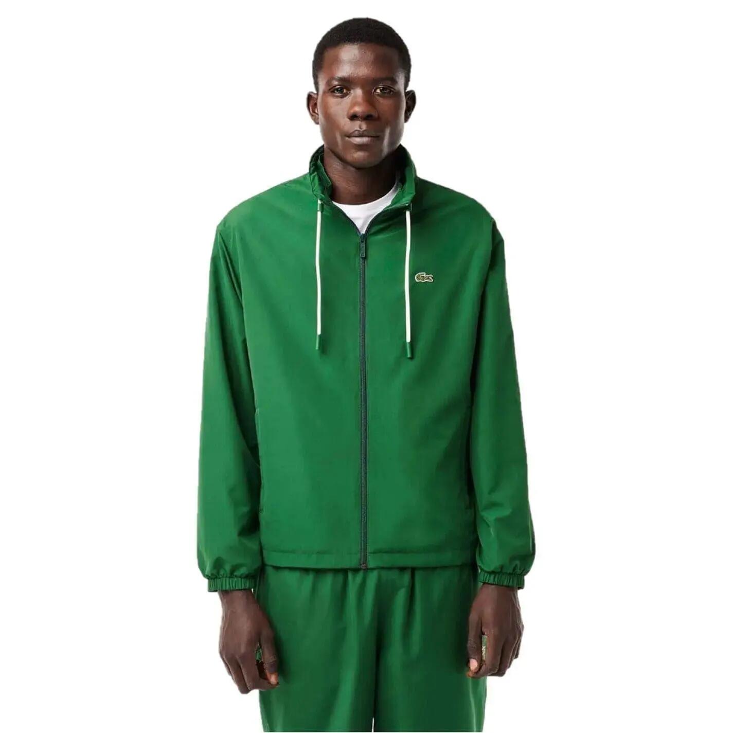LACOSTE picture