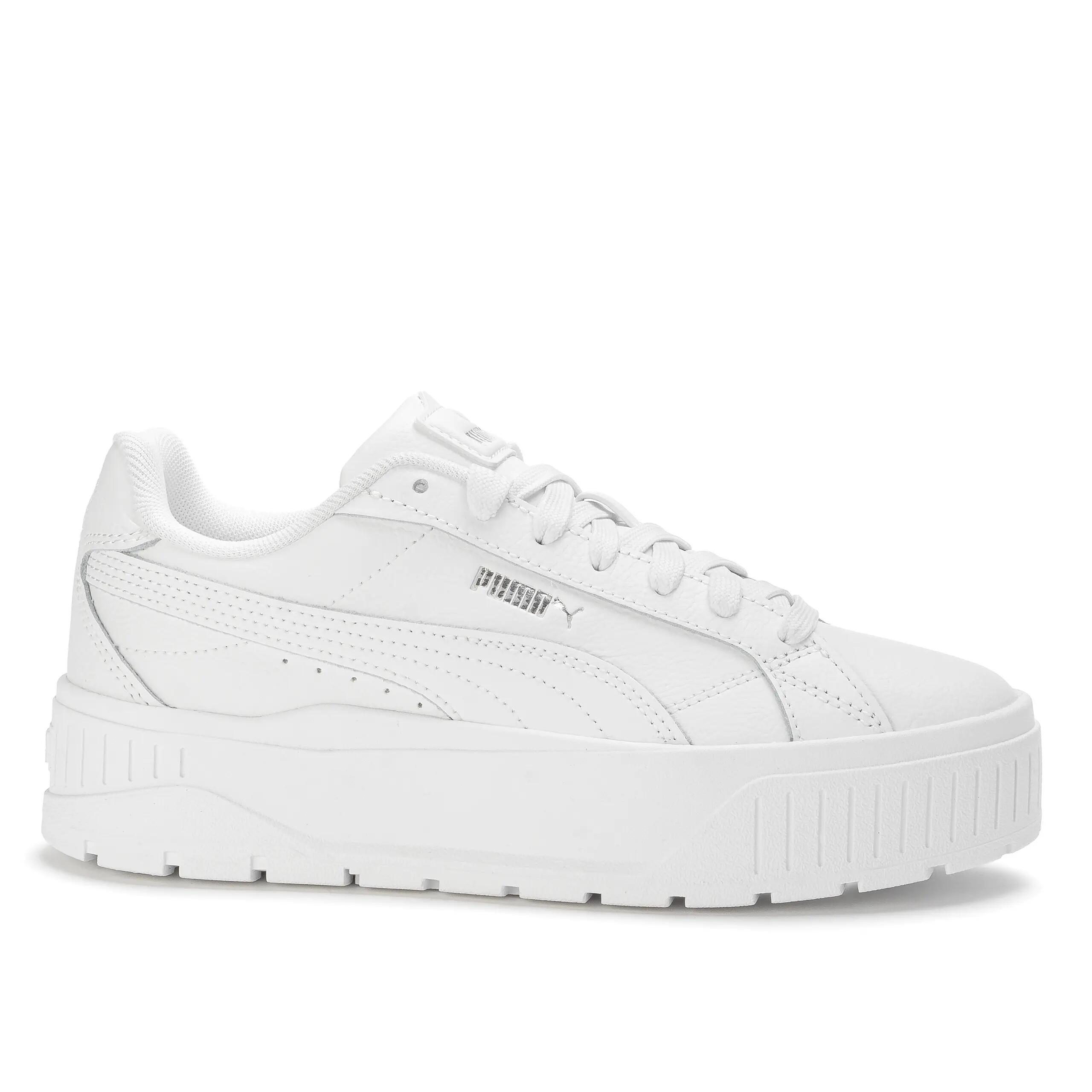 PUMA picture