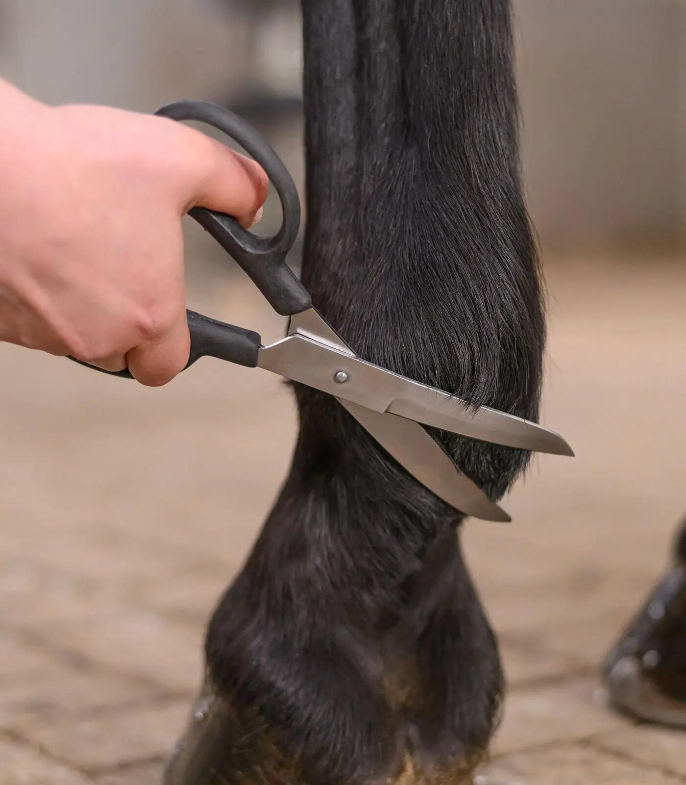 Curved scissors for riding Waldhausen 3/3