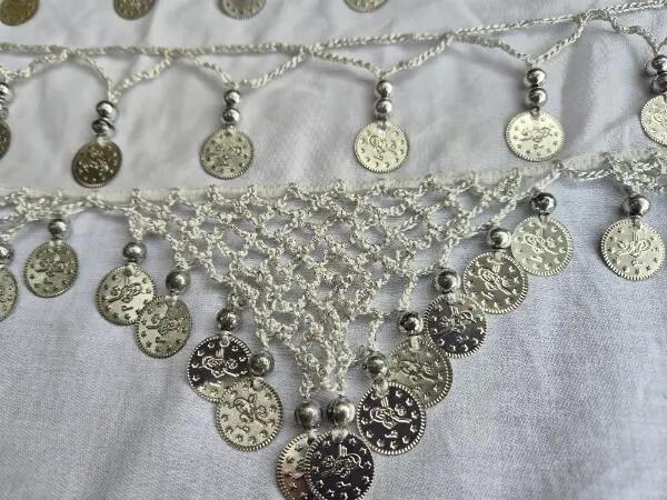 Tussen Particulieren - Muntjesgordel wit, chiffon met haakwerk 2/2