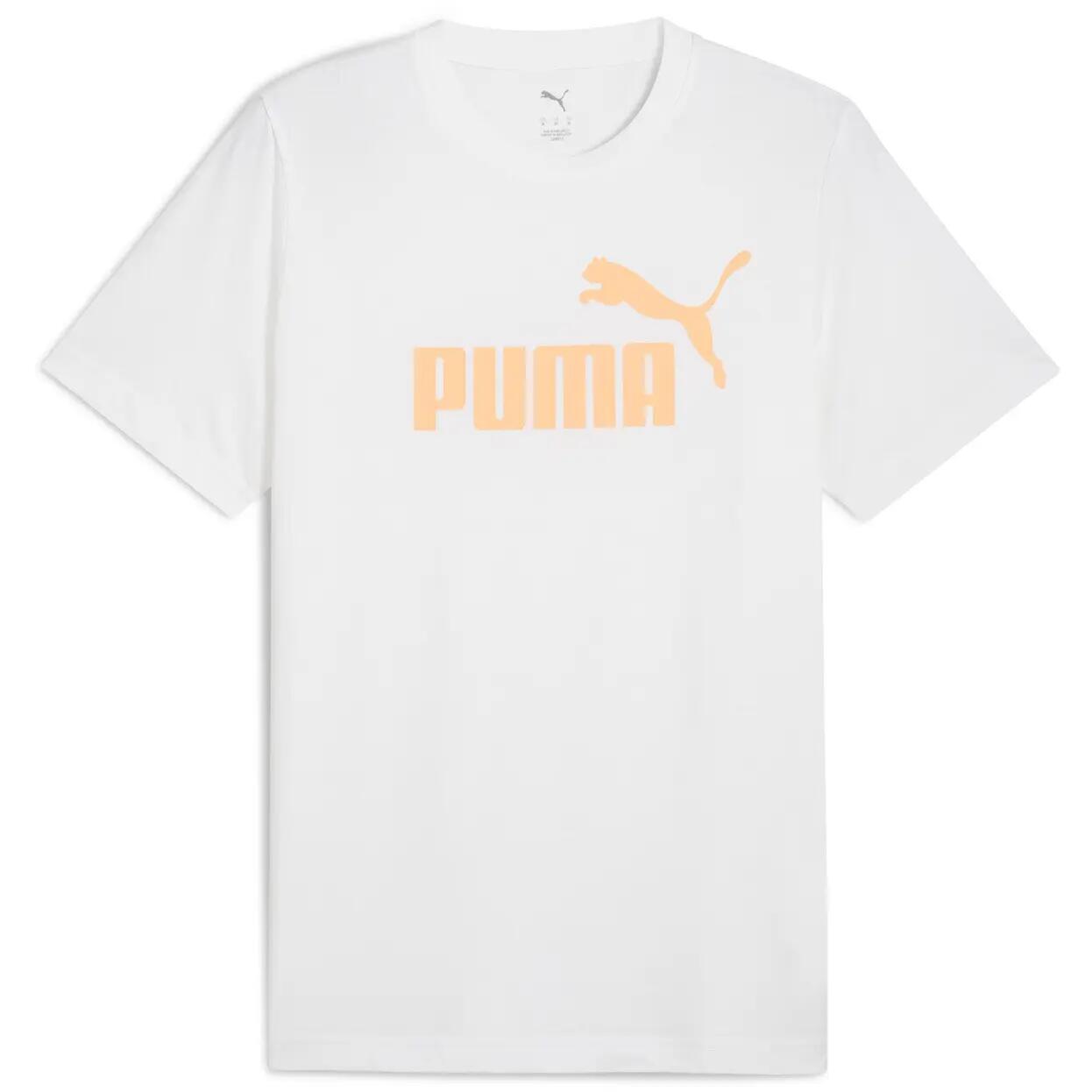 PUMA picture