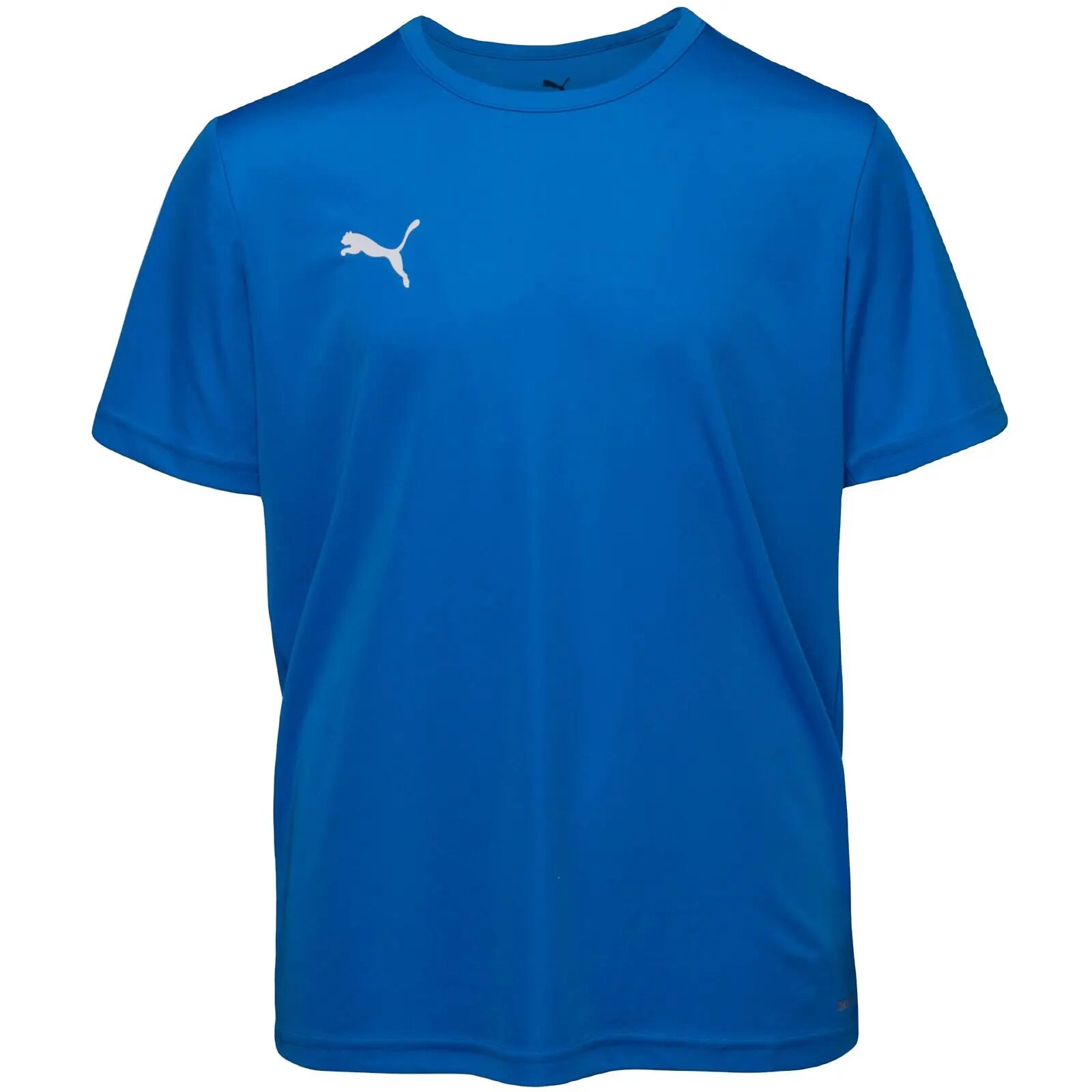 PUMA picture