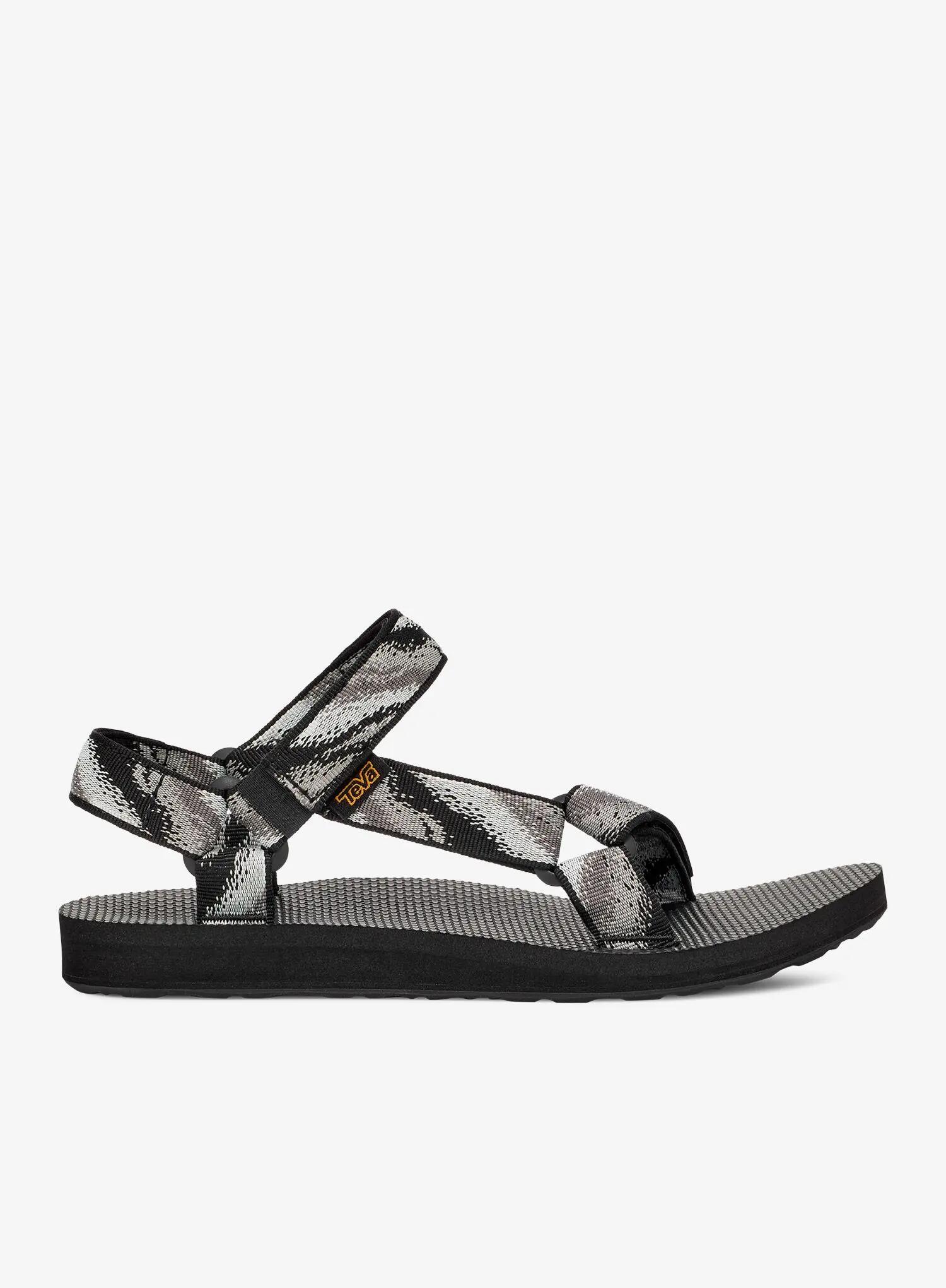 TEVA picture