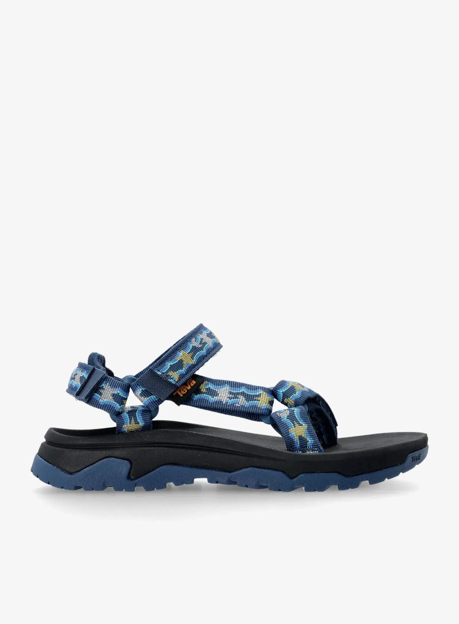 TEVA picture