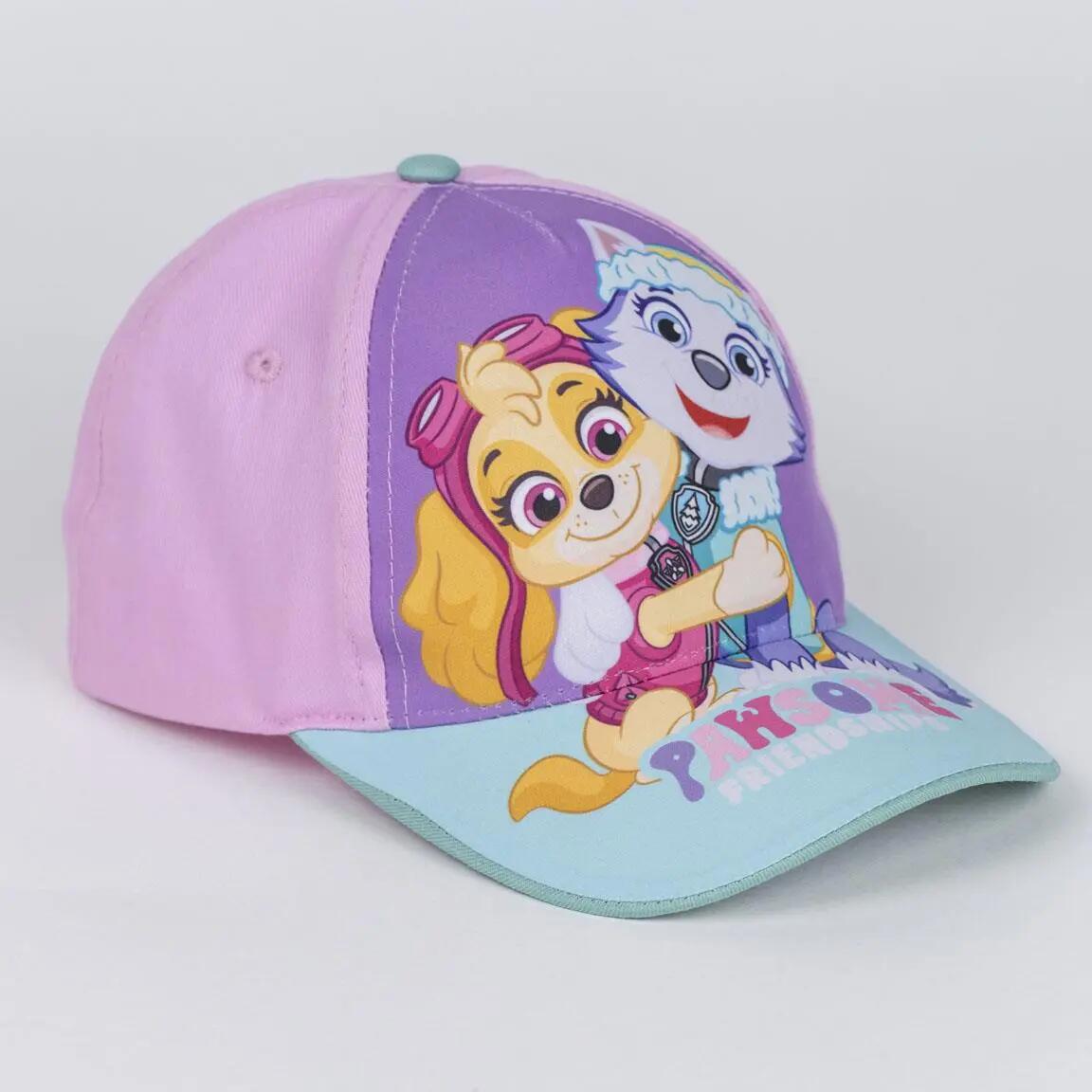 PAW PATROL picture