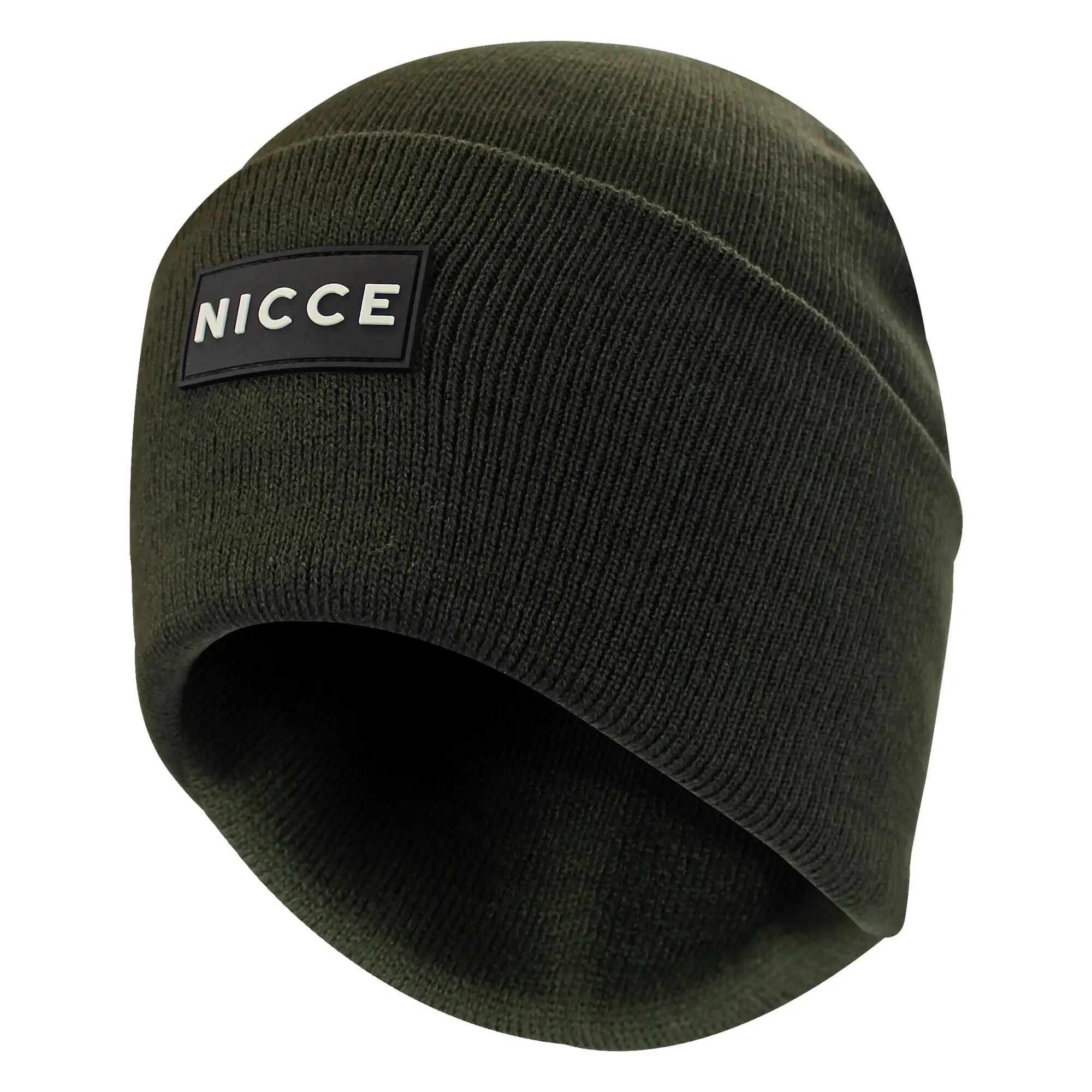 NICCE picture