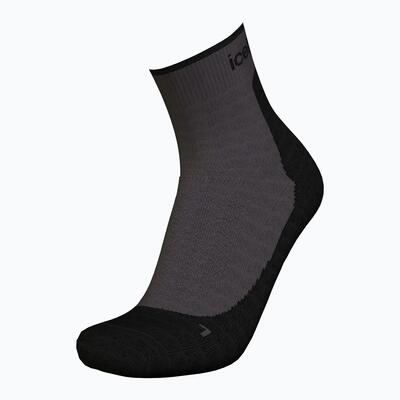 Dames sokken icebreaker merino hike+ light mini