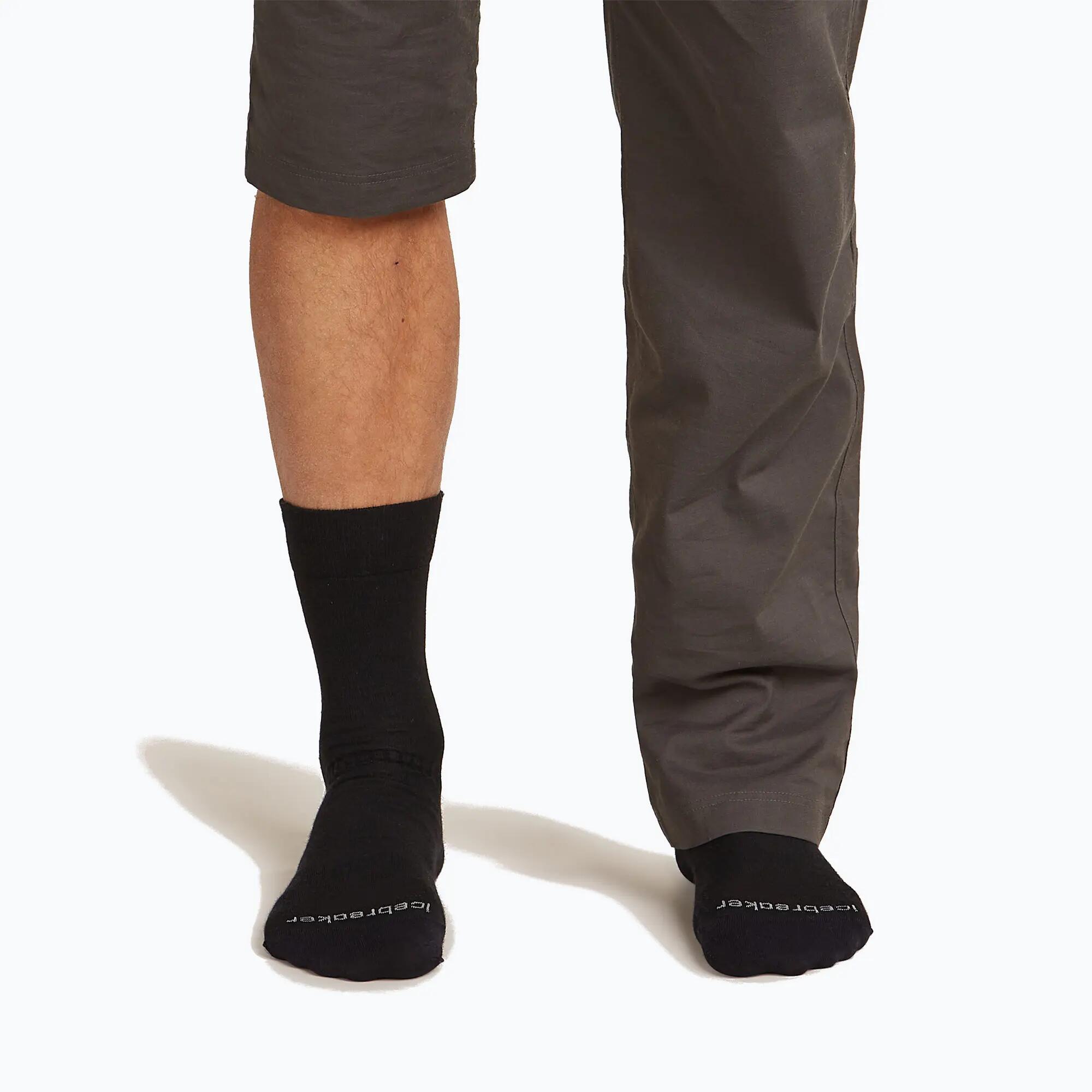 Calze da uomo icebreaker Merino Hike+ Liner Crew 3/6