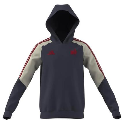 Sweat à capuche FFR Adidas France Rugby Hoodie pour Enfant Bleu marine ombre