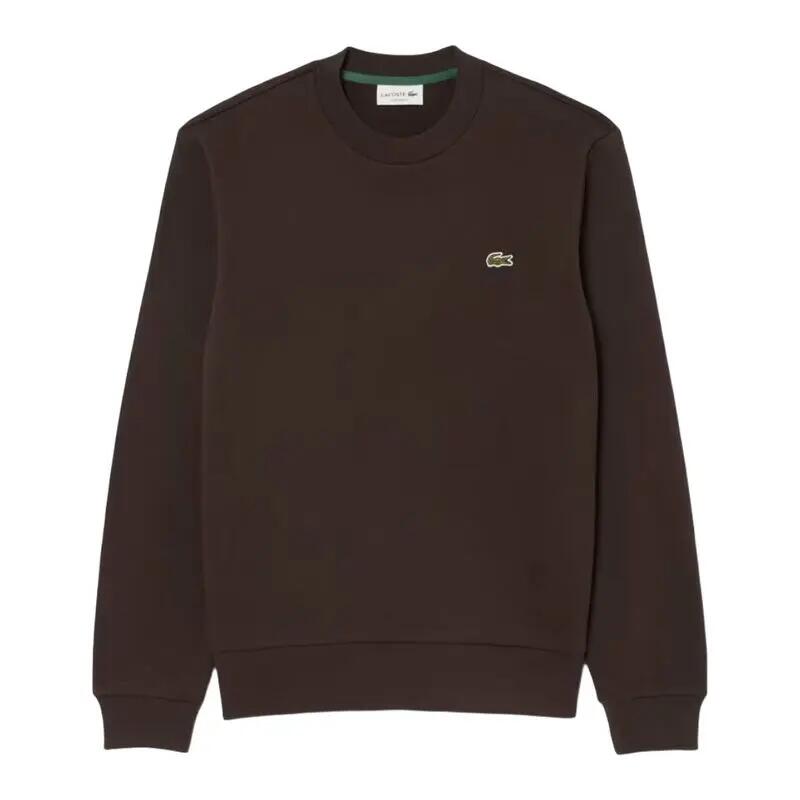 LACOSTE picture