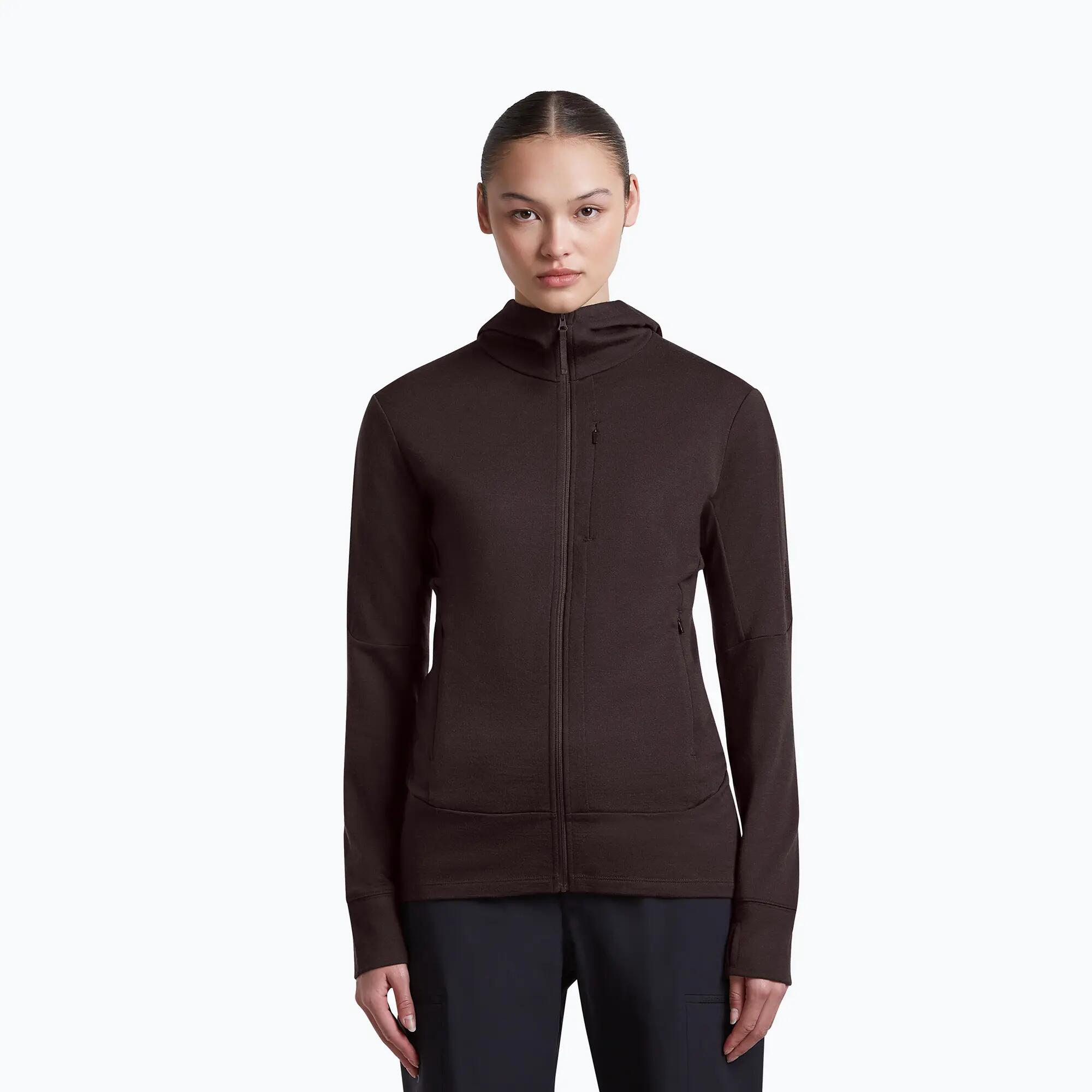 Damestrui Icebreaker Merino 260 Quantum IV LS Zip Hoodie 1/7