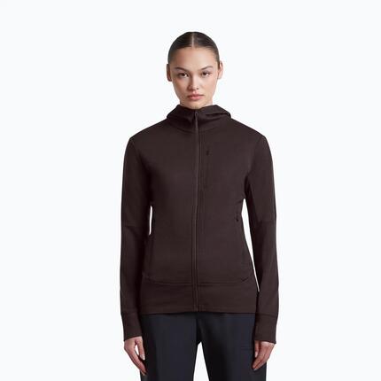 Damestrui Icebreaker Merino 260 Quantum IV LS Zip Hoodie