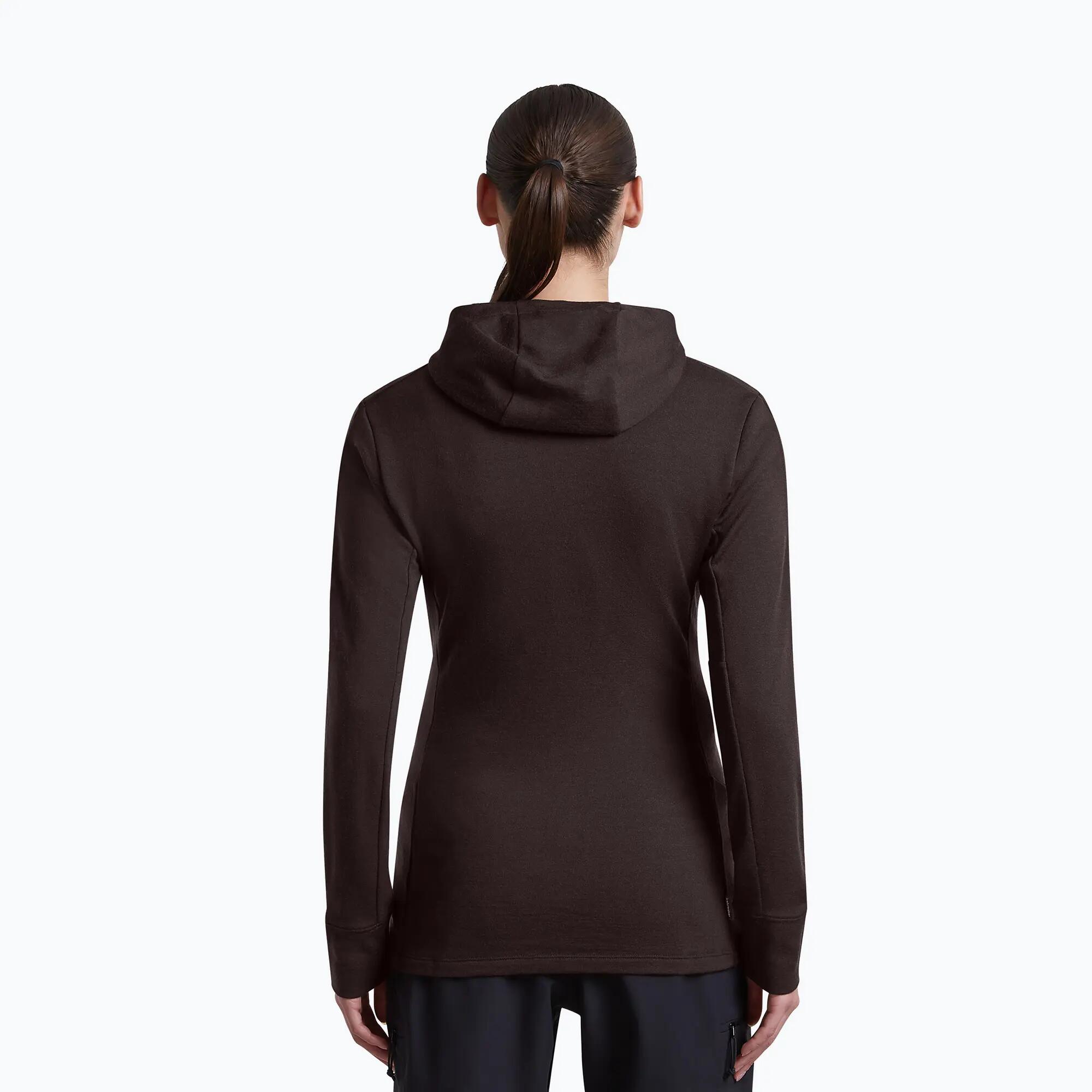 Damestrui Icebreaker Merino 260 Quantum IV LS Zip Hoodie 3/7