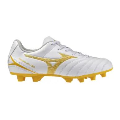 MIZUNO picture