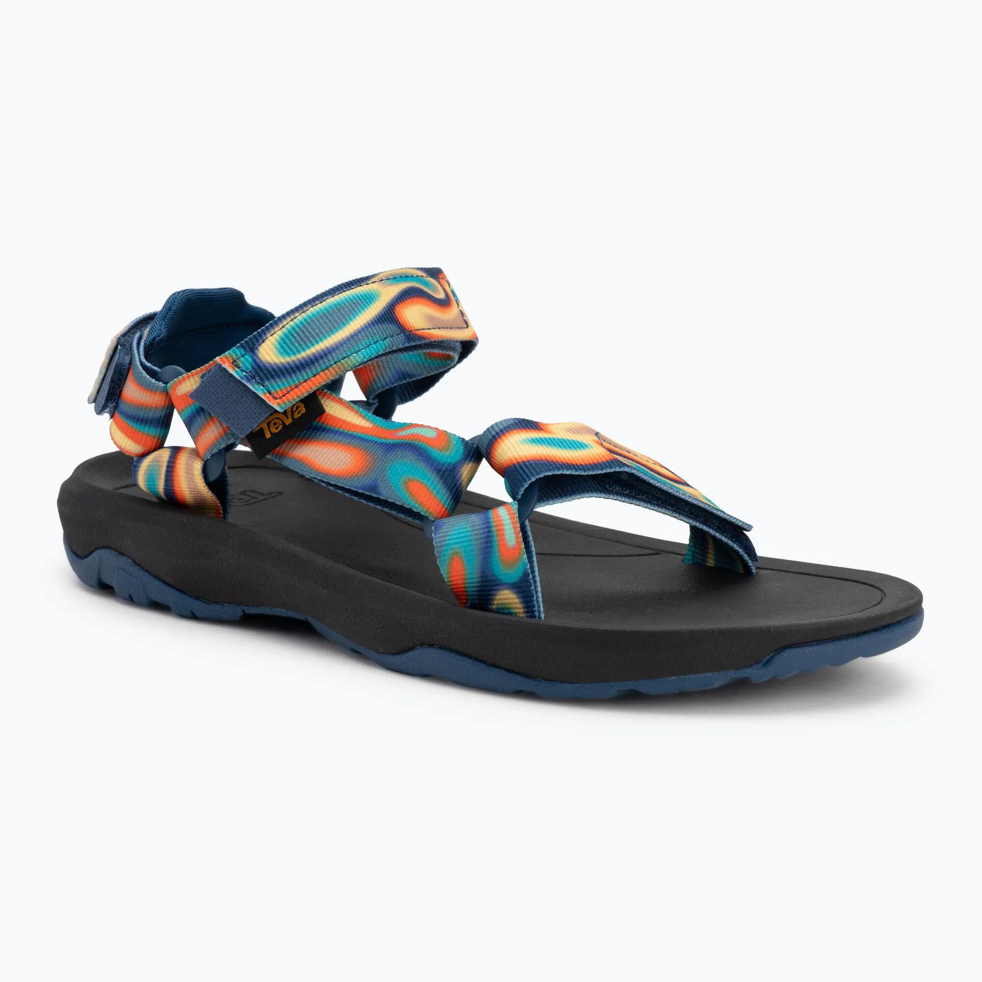 TEVA picture