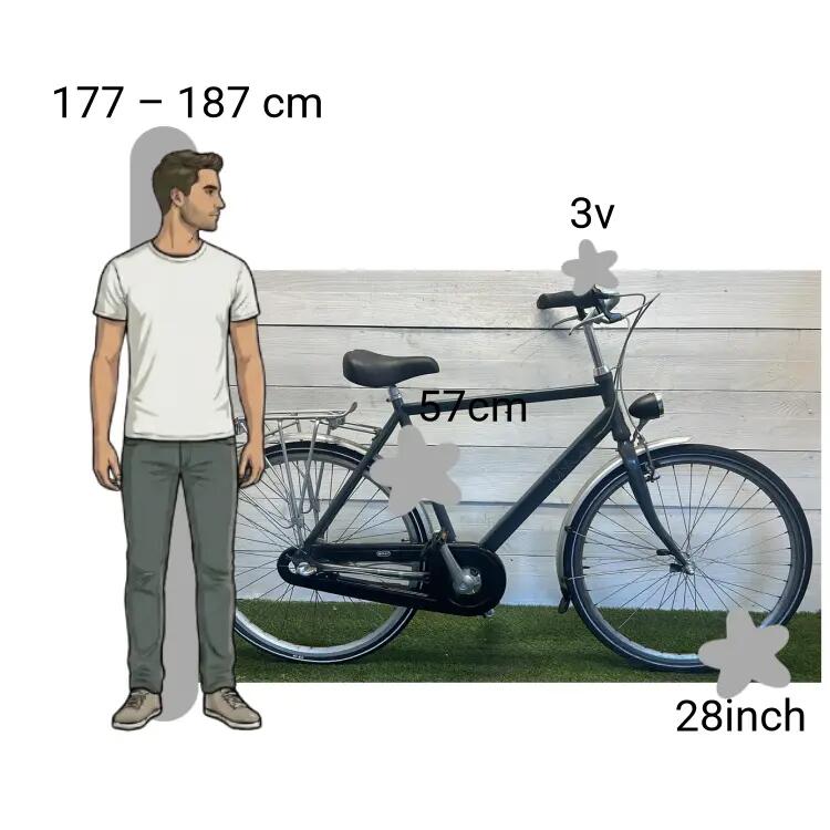 Gebraucht Union 2/4