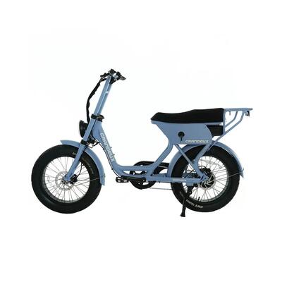 Grandeux xcite pro – elektrische tweepersoons fatbike