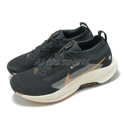 Męskie buty do biegania wodoodporny PEGASUS TRAIL 5 GORE-TEX
