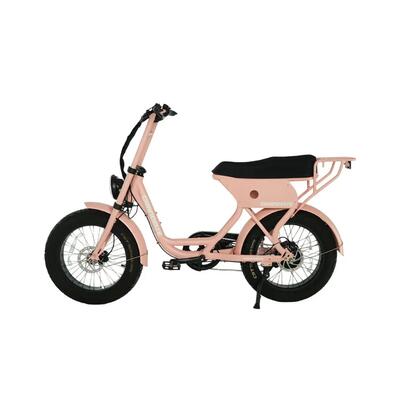 Grandeux xcite pro – elektrische tweepersoons fatbike