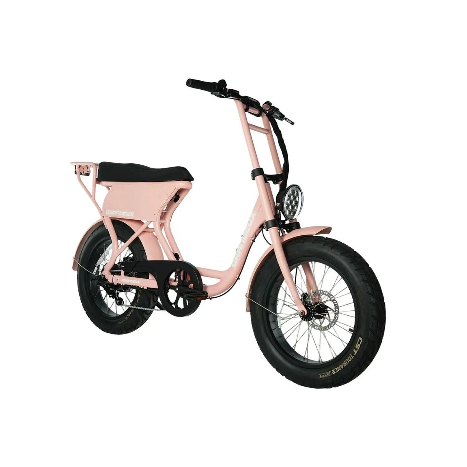 Grandeux Xcite Pro – Bicicletta elettrica biposto con pneumatici larghi 3/3