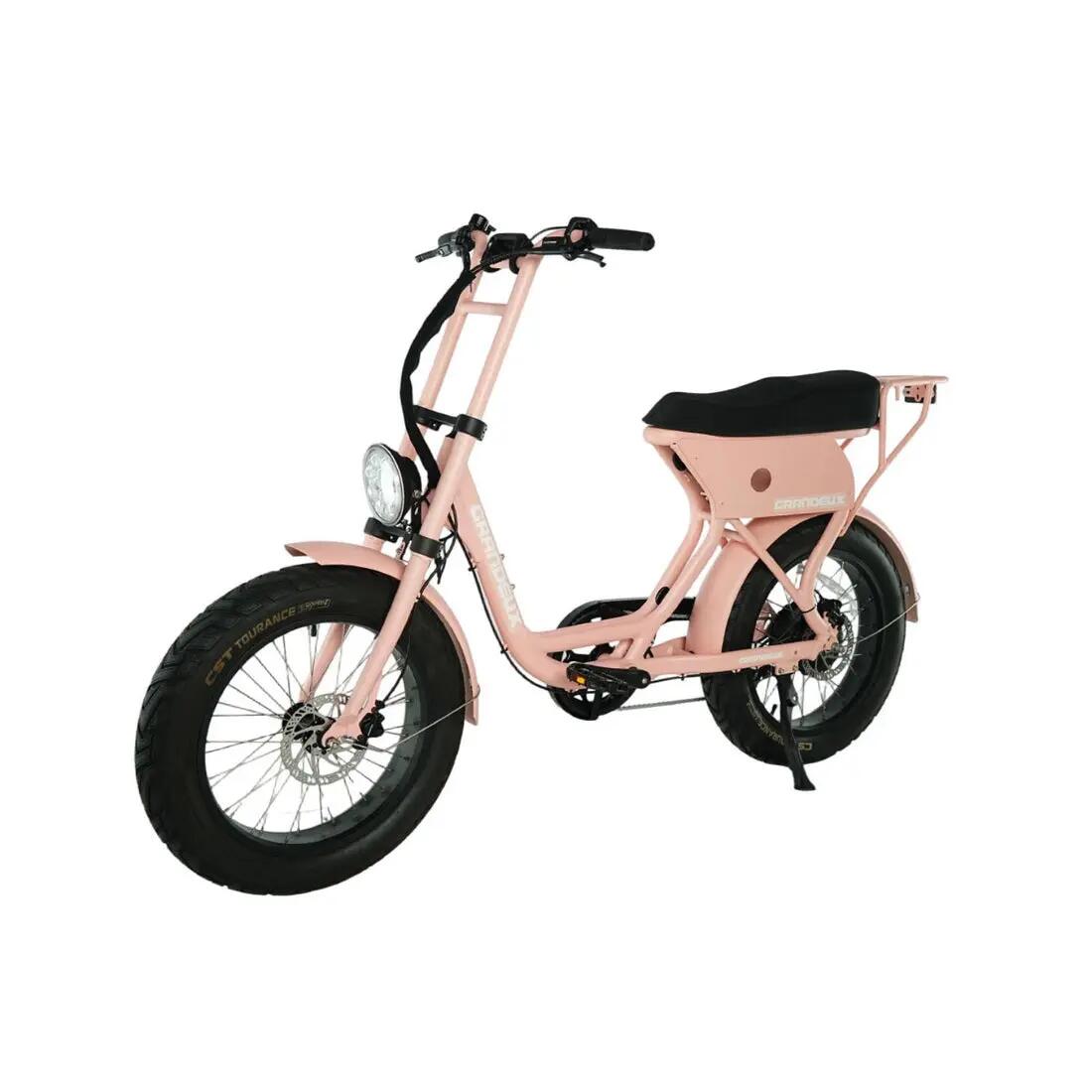 Grandeux Xcite Pro – Bicicletta elettrica biposto con pneumatici larghi 2/3