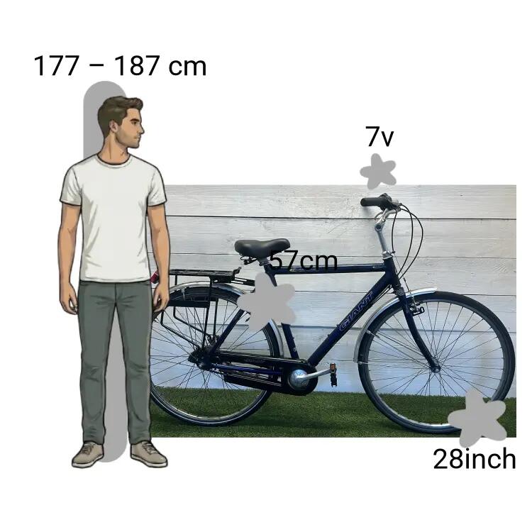 Tweedehands Giant Freerider 2/4
