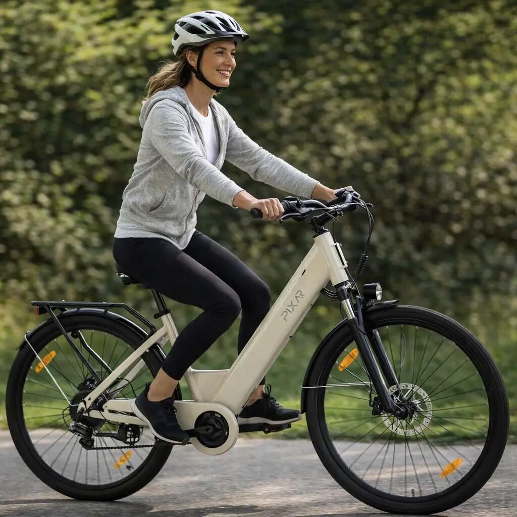 Volwassen elektrische fiets C1, banden 27,5" × 1,95", accu 36V 13Ah. 13/13