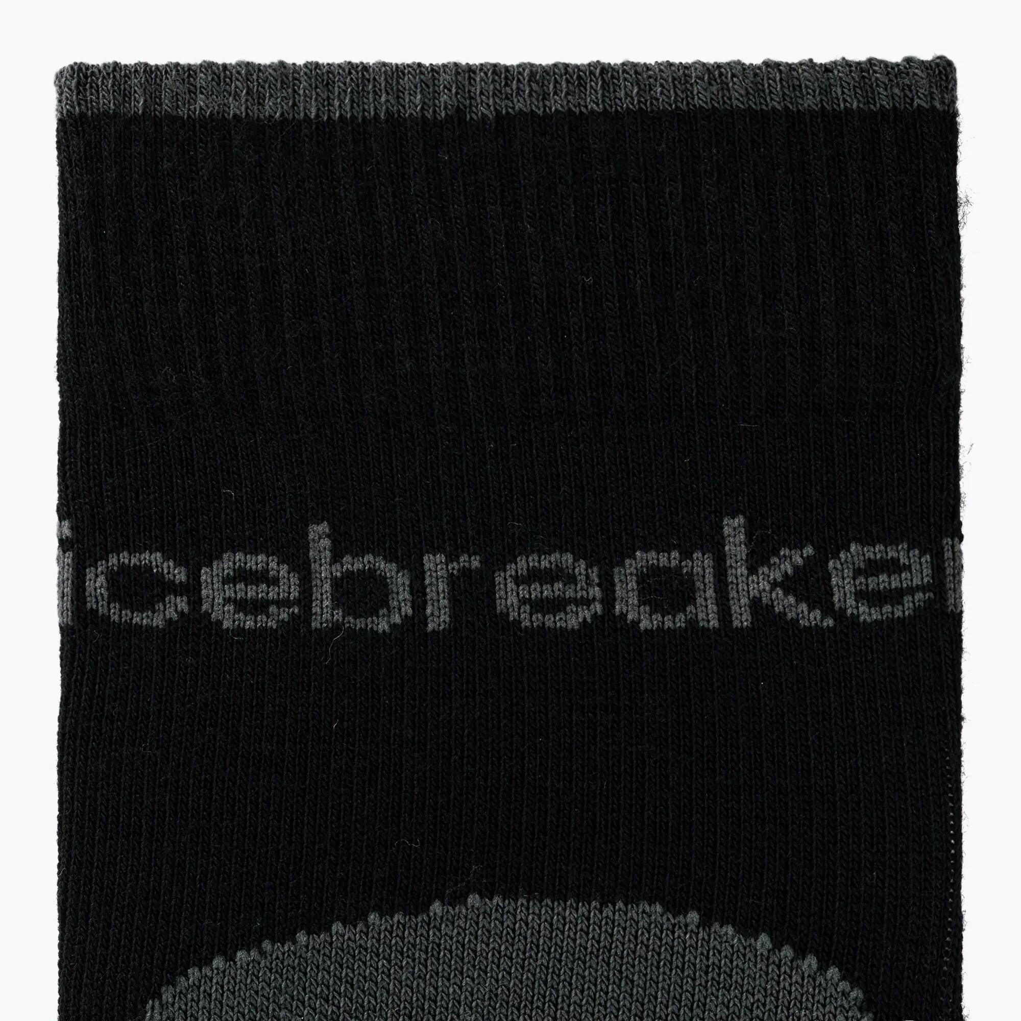 Skarpety męskie icebreaker Merino Hike+ Light Crew 2 3/6