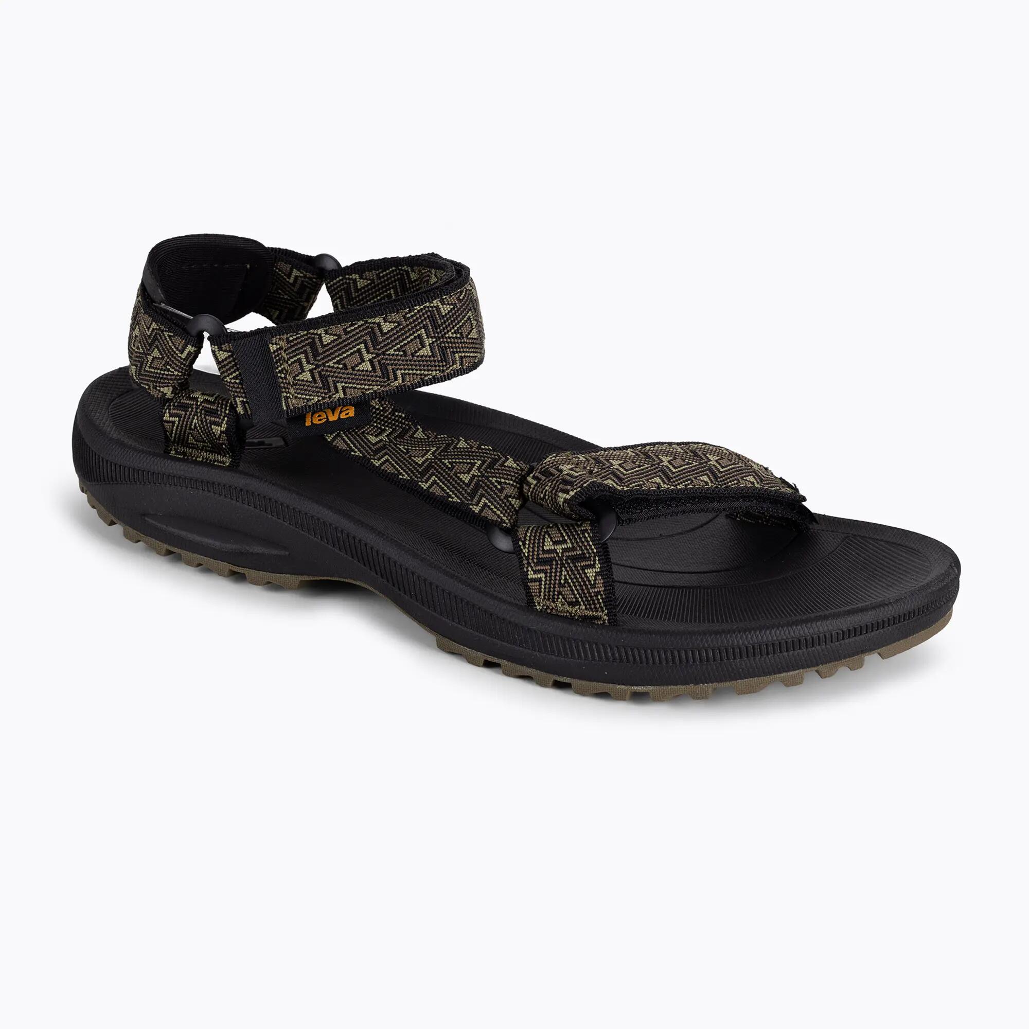 TEVA picture