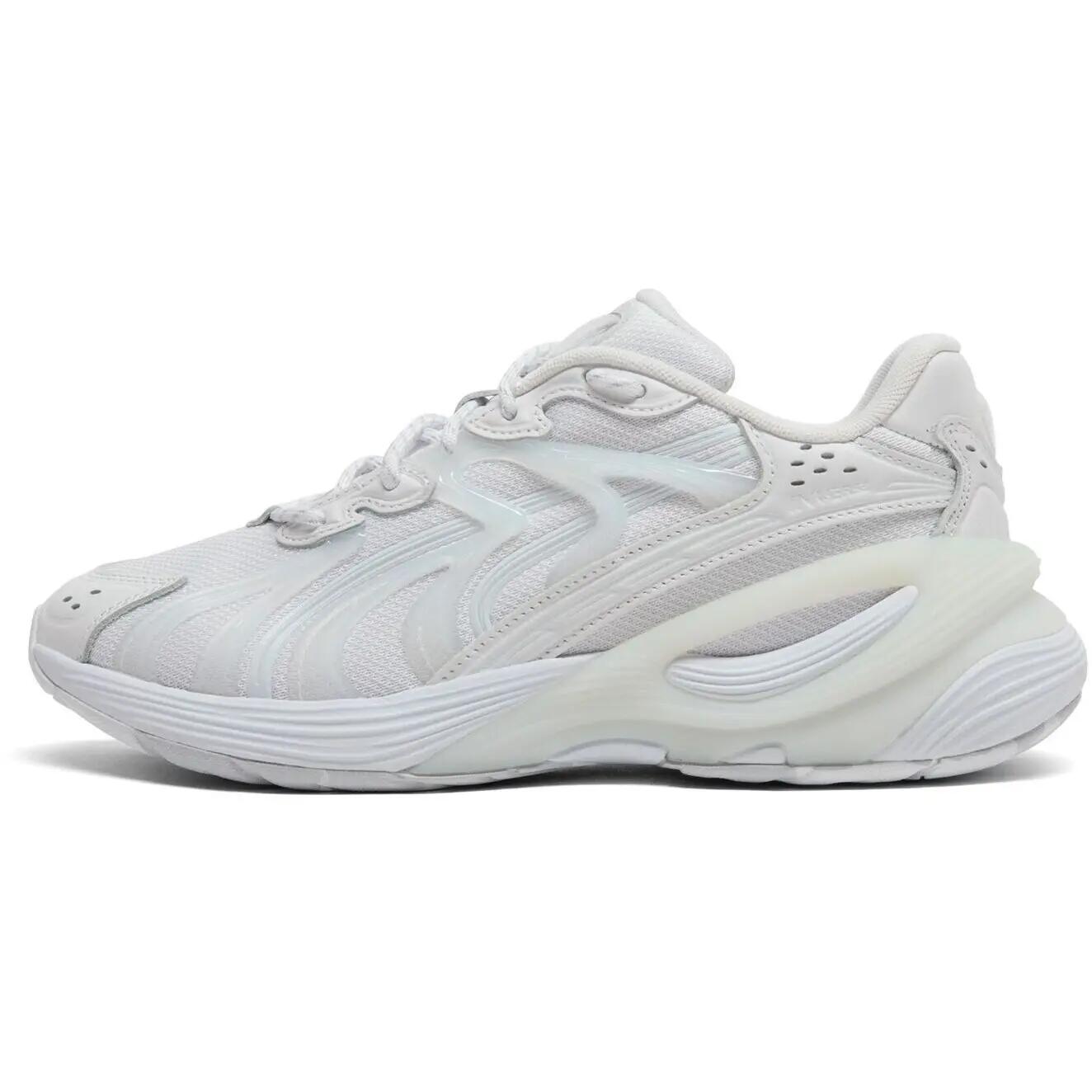 PUMA picture