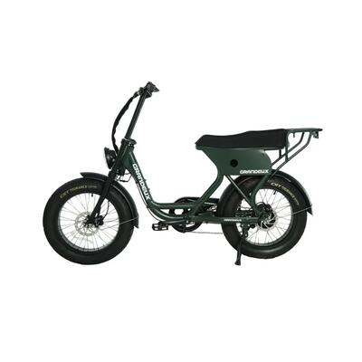 Grandeux xcite pro – elektrische tweepersoons fatbike