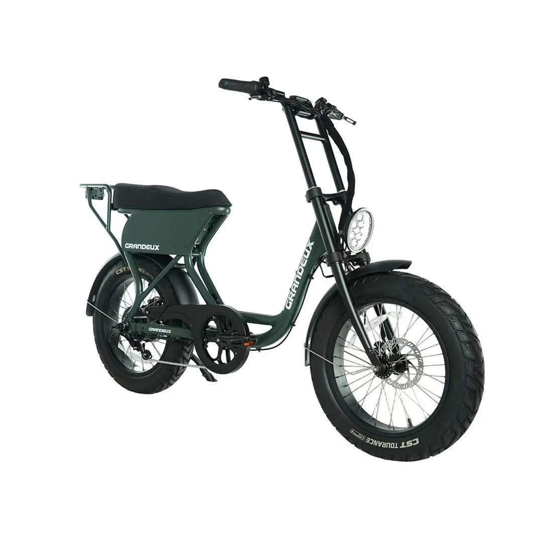 Grandeux Xcite Pro – Bicicletta elettrica biposto con pneumatici larghi 3/3