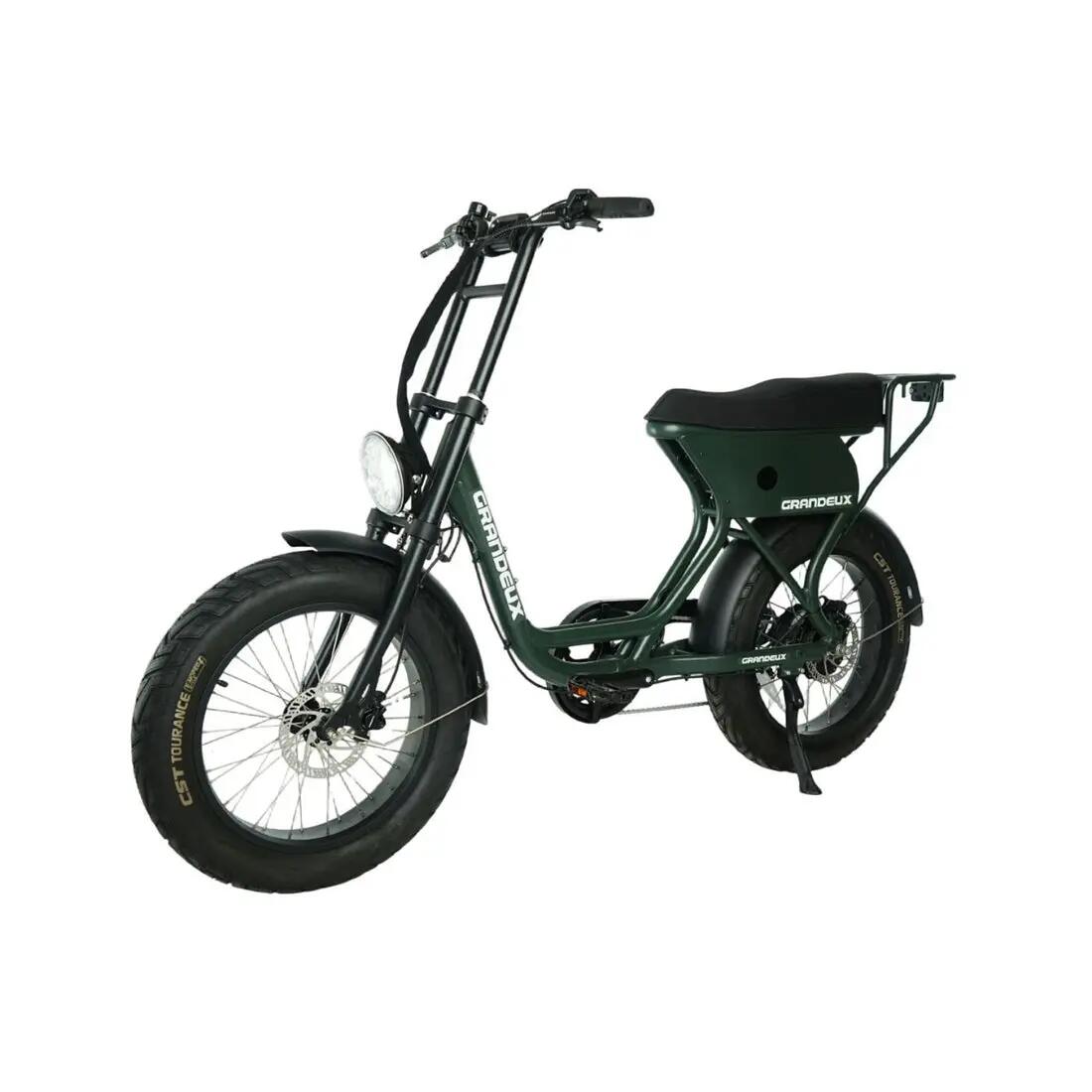 Grandeux Xcite Pro – Bicicletta elettrica biposto con pneumatici larghi 2/3