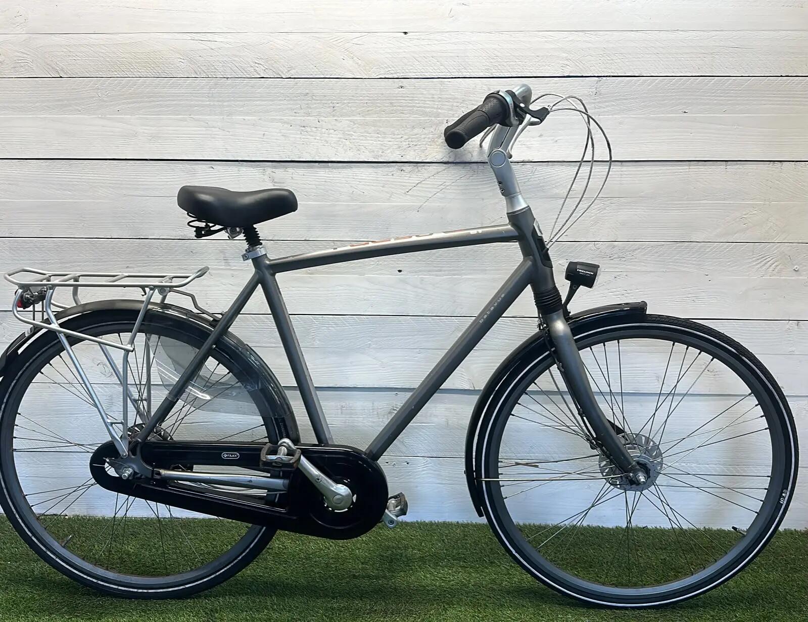 BATAVUS picture