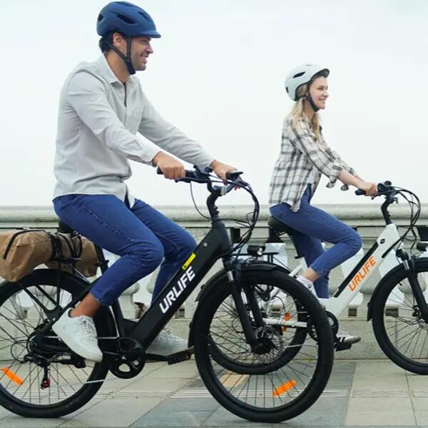 Elektrische fiets voor volwassenen URLIFE E26 motor 250W accu 48V 10.4Ah 7/7