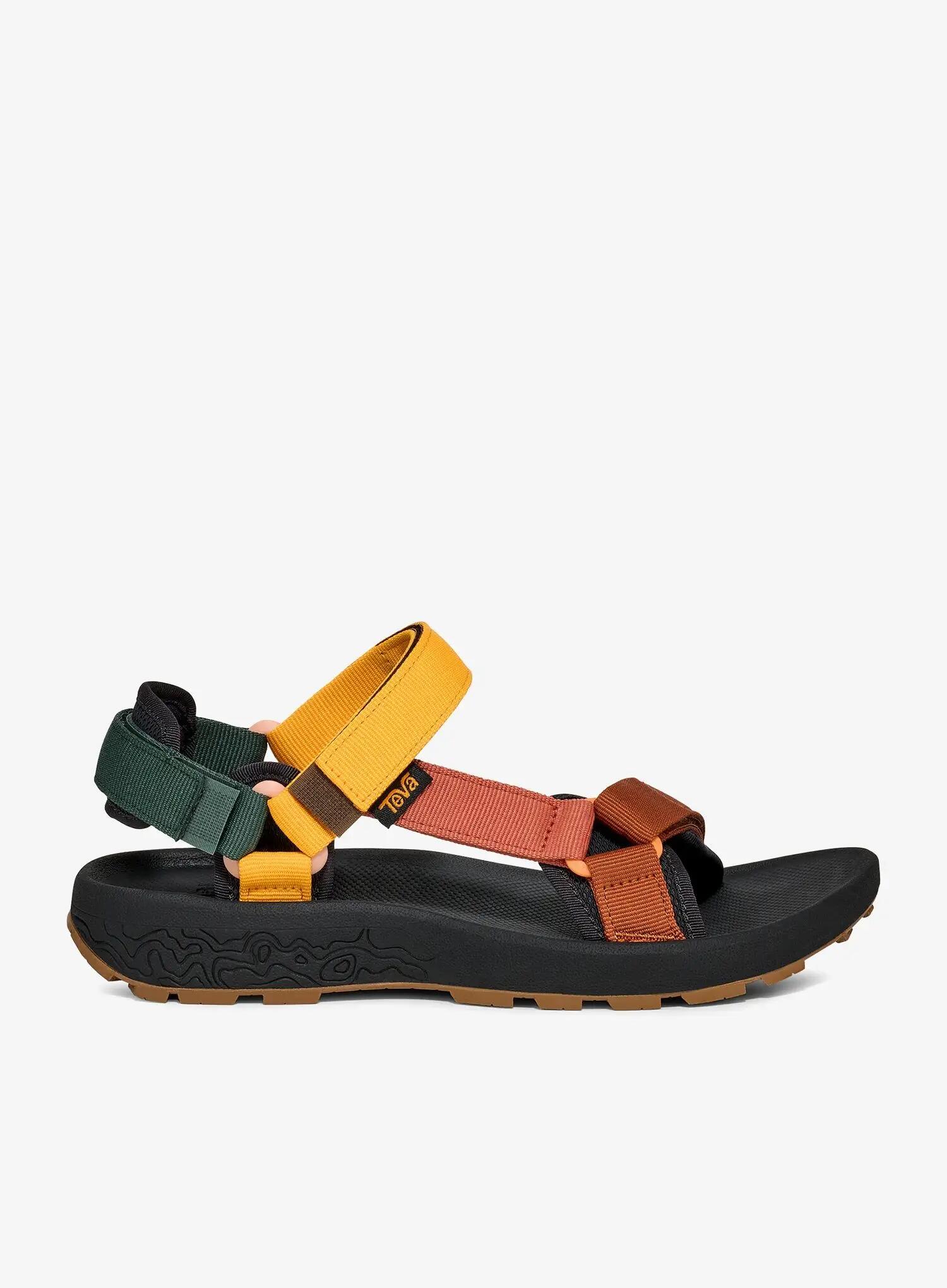 TEVA picture