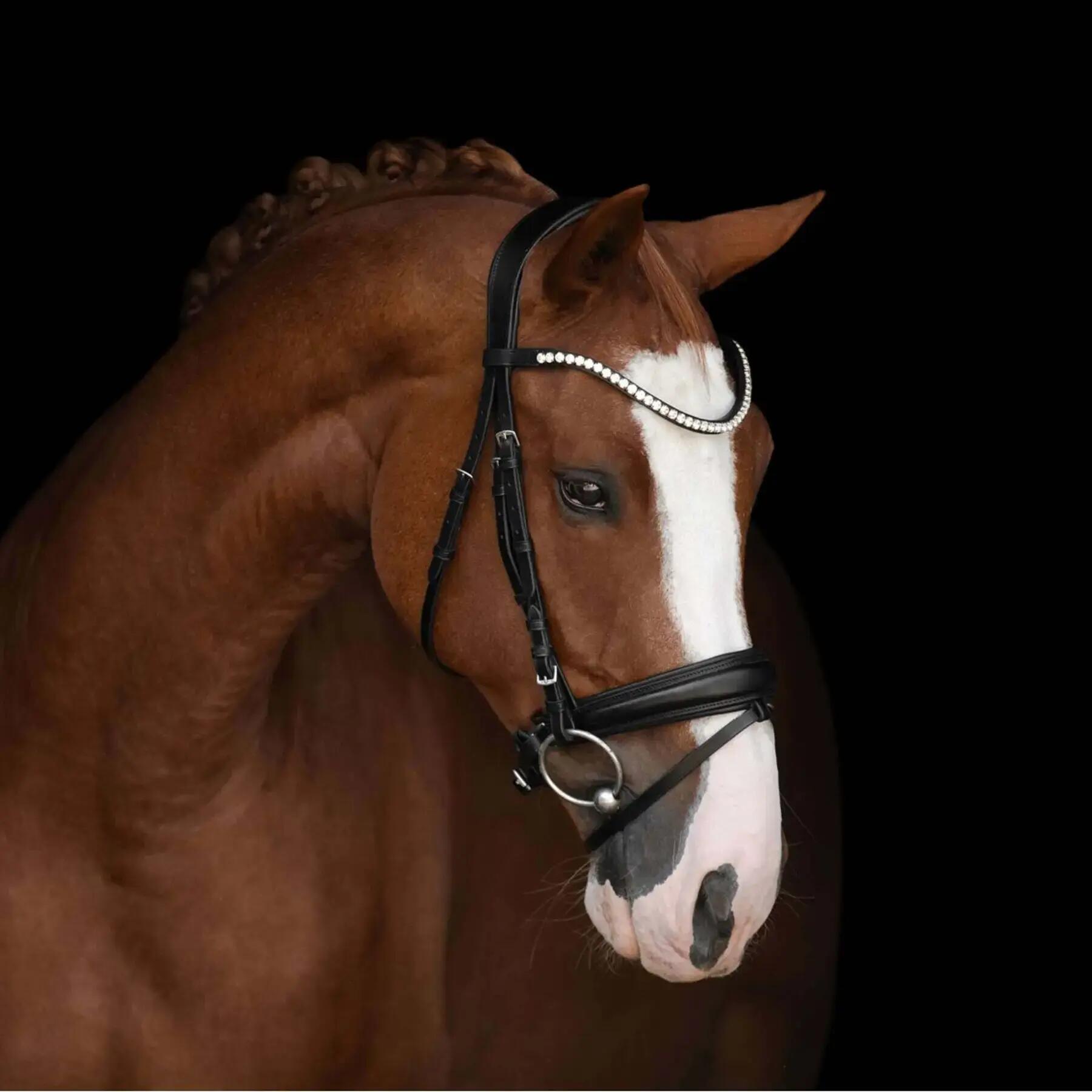 Bridon équitation Kieffer Victoria with square chrome buckles 2/5