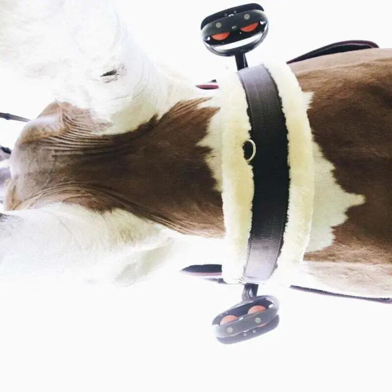 Sangle para caballo piel de cordero Kentucky Horsewear 4/7
