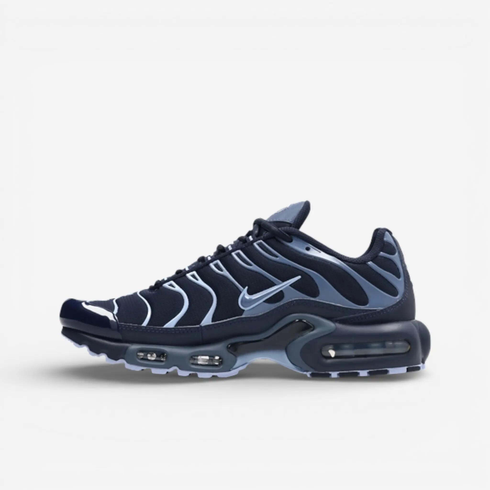 Nike Air Max Plus Obsidian Aluminum 2/3