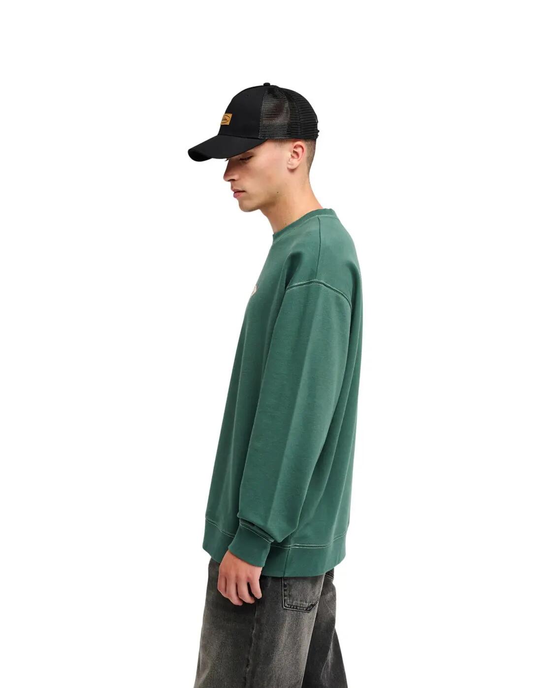 Sweater DISK Grün Heren 3/4